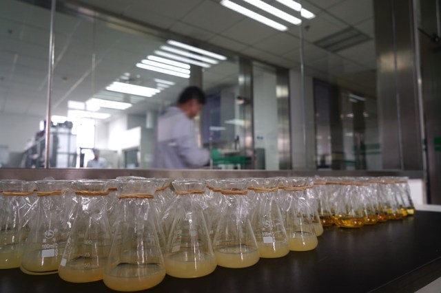 zhang-joy-project-small